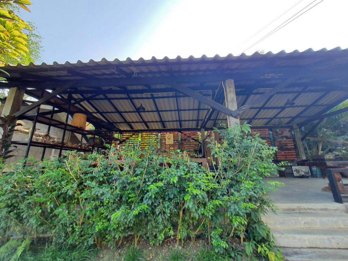 Nokkamin Home Chiang Dao Exteriör bild