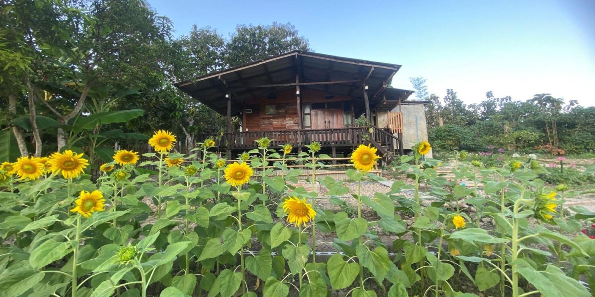 Nokkamin Home Chiang Dao Exteriör bild