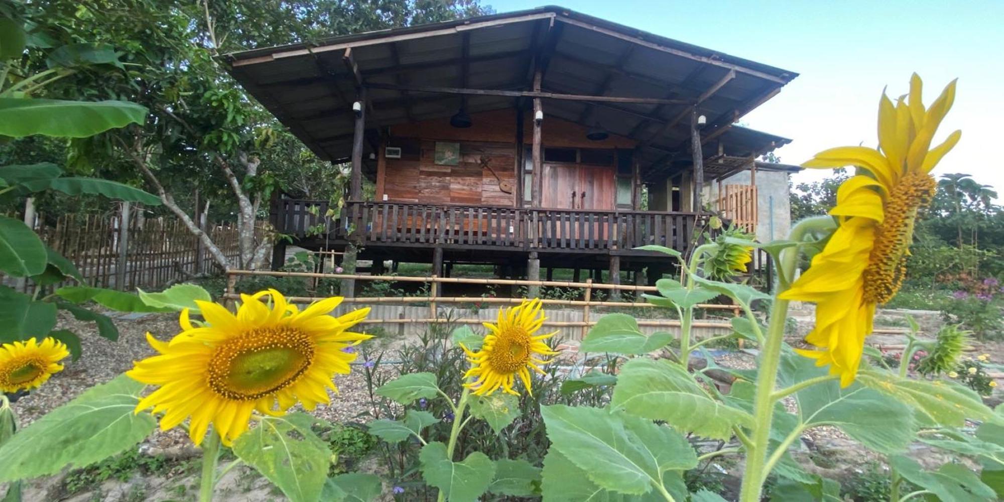 Nokkamin Home Chiang Dao Exteriör bild