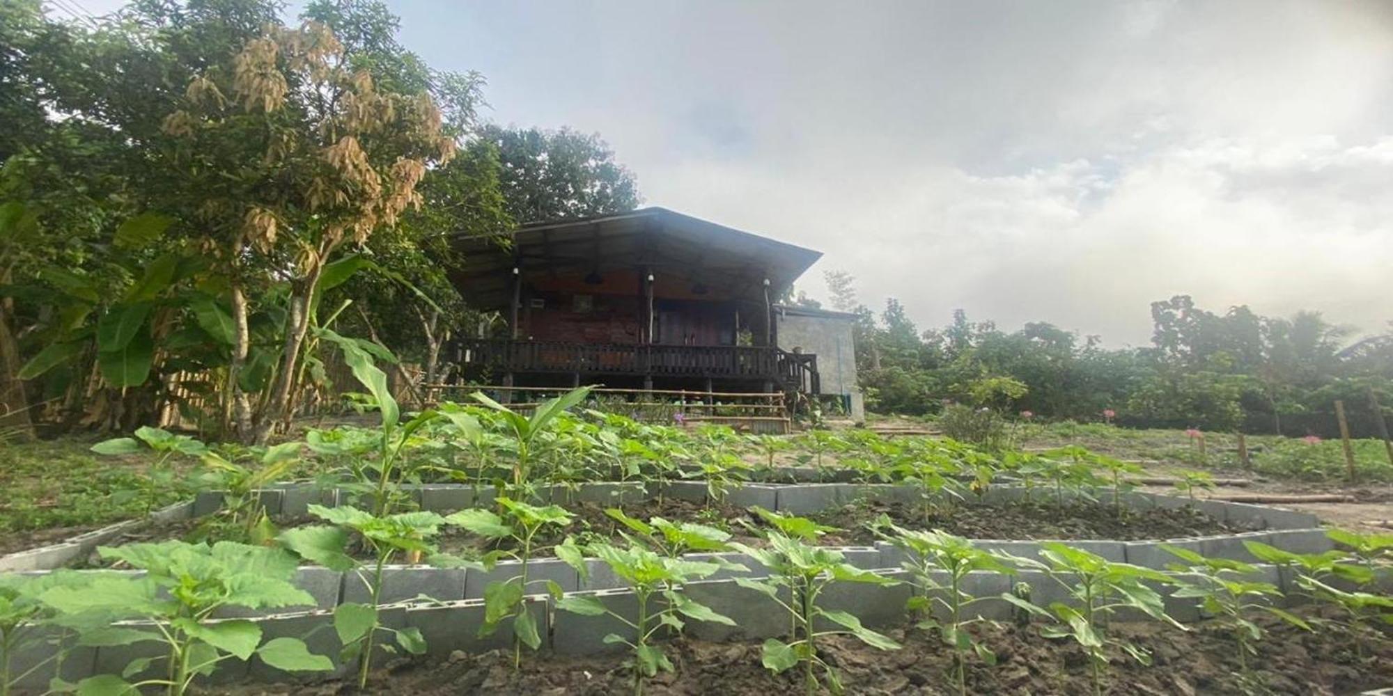 Nokkamin Home Chiang Dao Exteriör bild